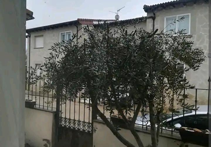 Vivienda Adosada , Con Merendero En Carcedo Carcedo de Burgos Zewnętrze zdjęcie